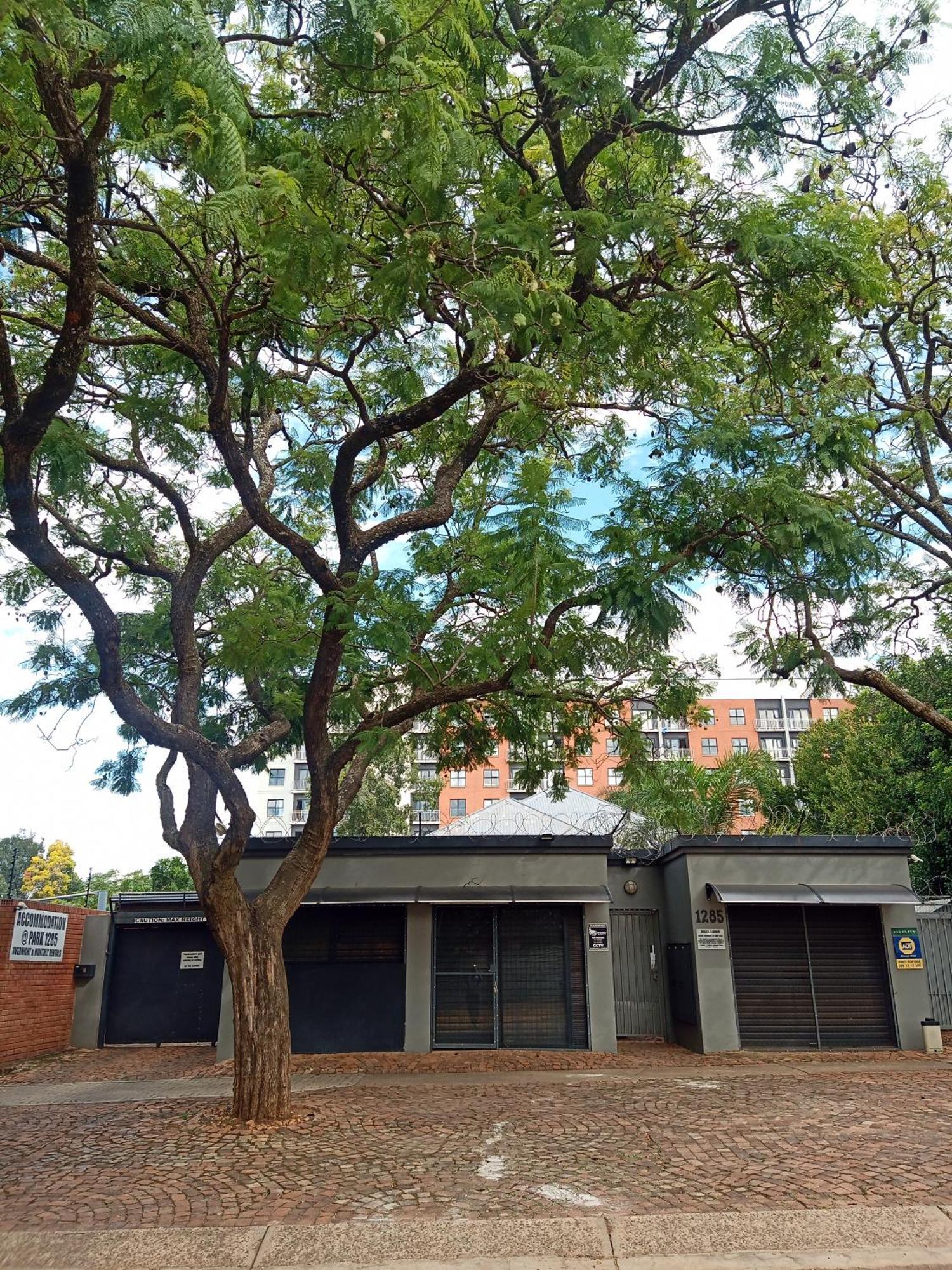 Accommodation@Park1285 Pretoria-Noord Εξωτερικό φωτογραφία